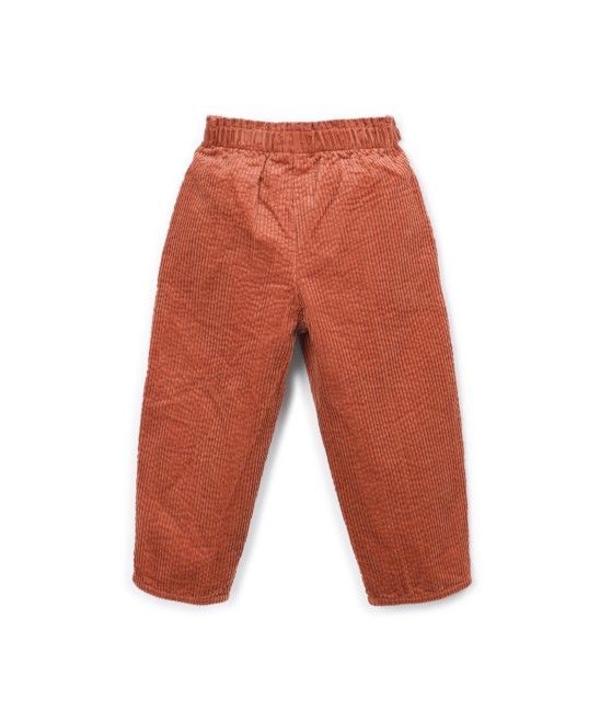 Playup Cord Hose