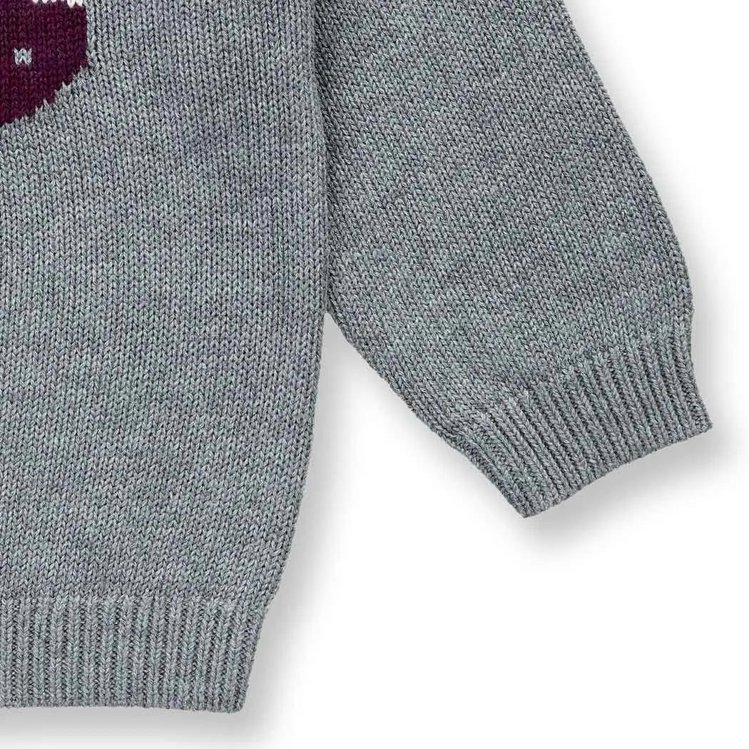 Sense Organics Baby Strickpullover mit Waschbär auf Anthrazit, Modell NAVIN