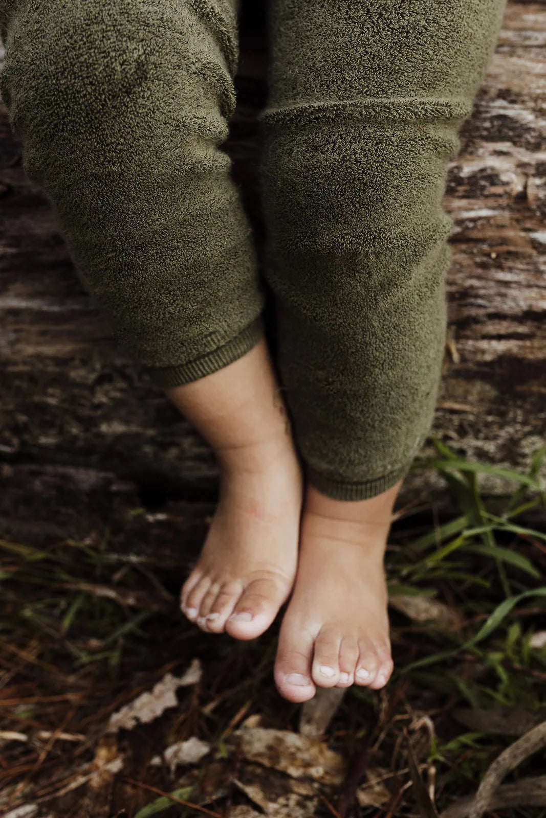 Silly Silas Teddy footless tights (GOTS) olive