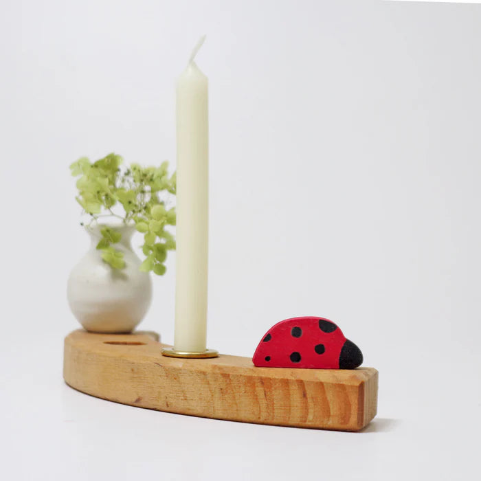 03750_marienkaefer_v5