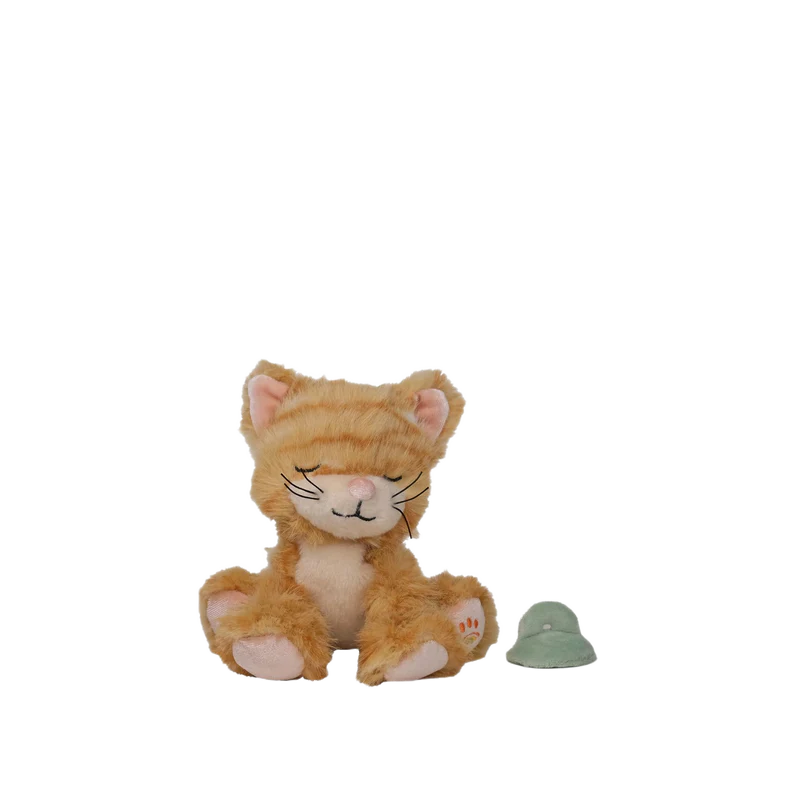 Binky_Kitten_Koda_-_Ginger_800x
