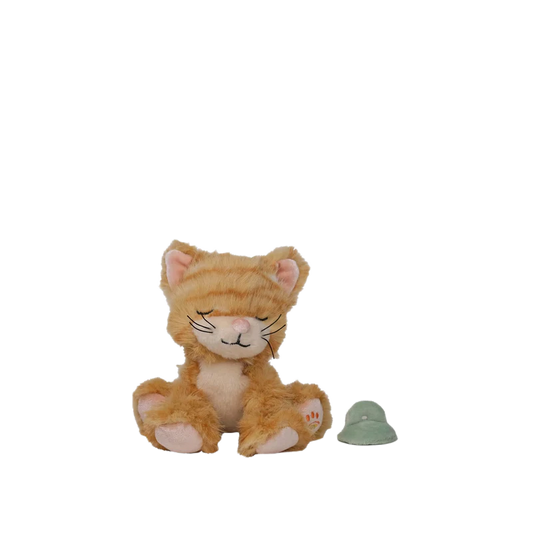 Binky_Kitten_Koda_-_Ginger_800x