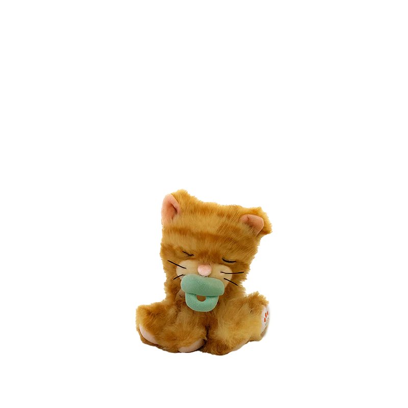 Binky_Kitten_Koda_01_web_800x