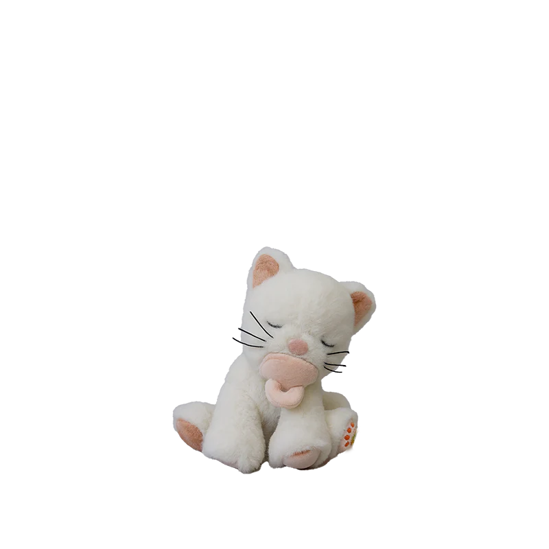 Binky_Kitten_Kiki_02_web_800x