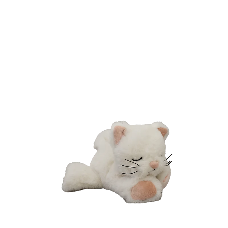 Binky_Kitten_Kiki_03_web_800x