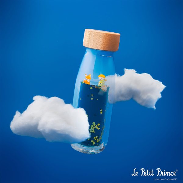 PetitBoum-Le-Petit-Prince®-8-600×600
