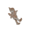 GetImage (11)