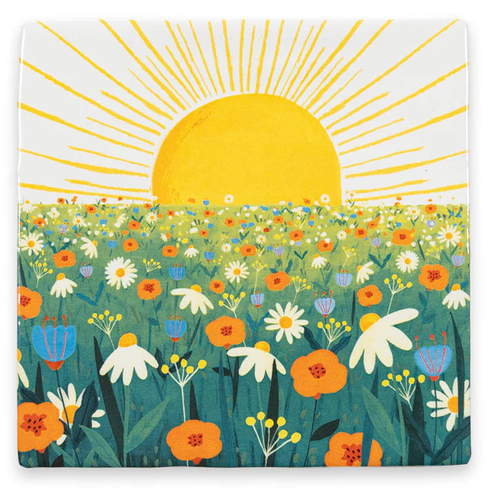 Thesunwillshineonyou