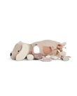aktivitetscenter_hund_rose_80454