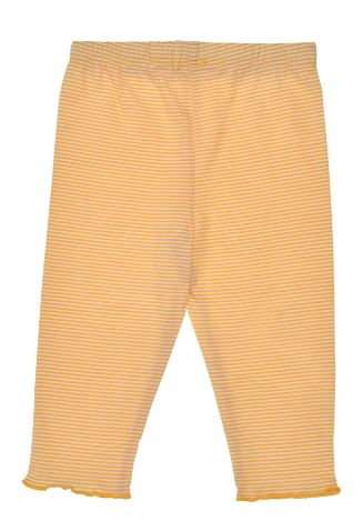 bondi14