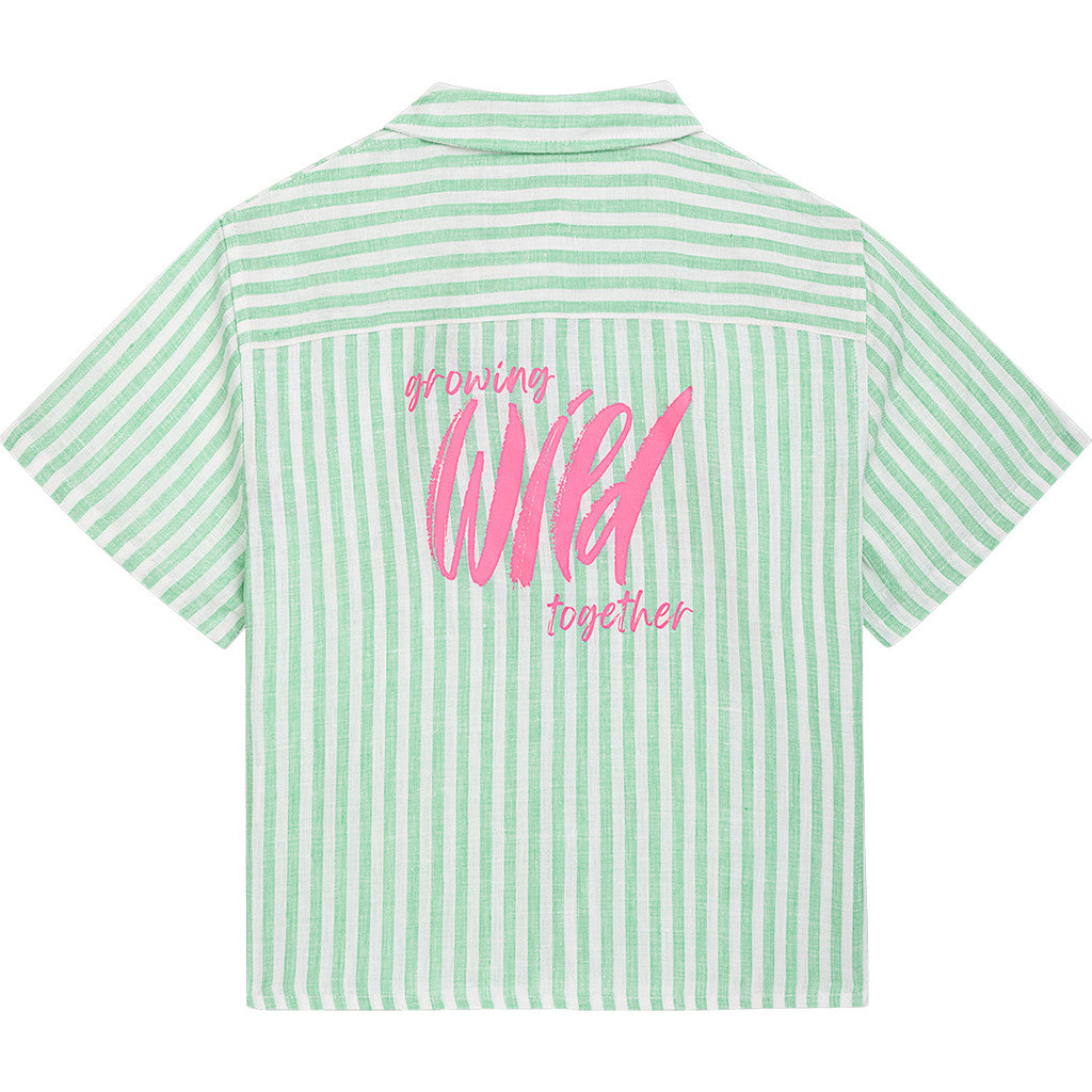 T1326-017_green_2