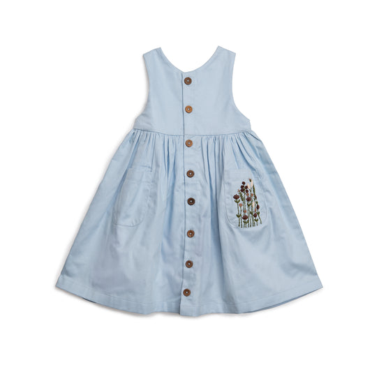 HV15544822 – Kentucky blue – Extra 1