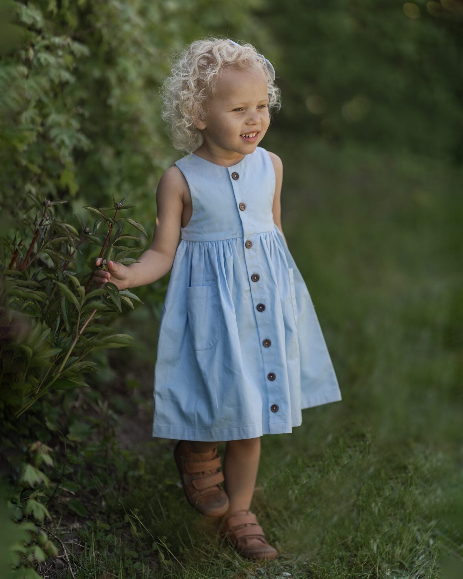 HV15544822 – Kentucky blue – Extra 4
