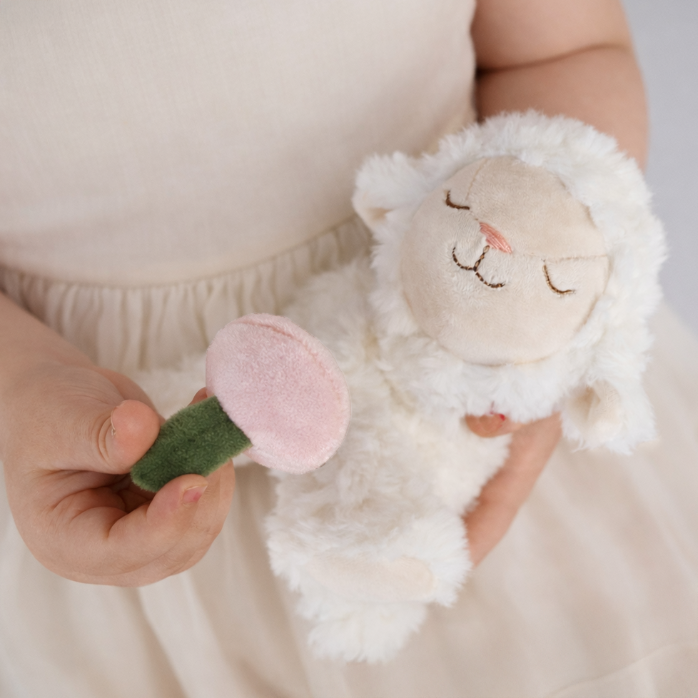 Binky_Barnyard_Lamby_May_LS1