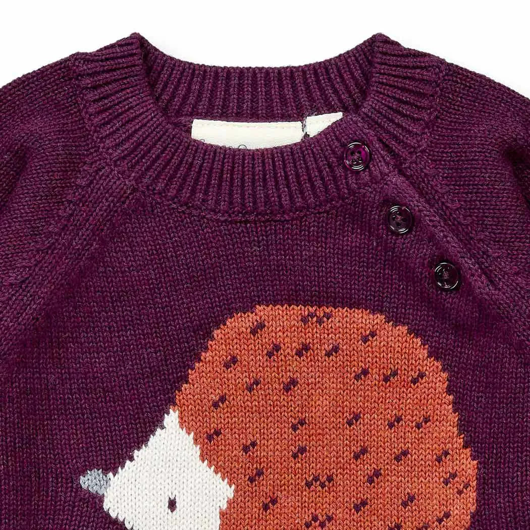 Sense Organics Baby Strickpullover mit Igel auf Bordeauxrot, Modell NAVIN