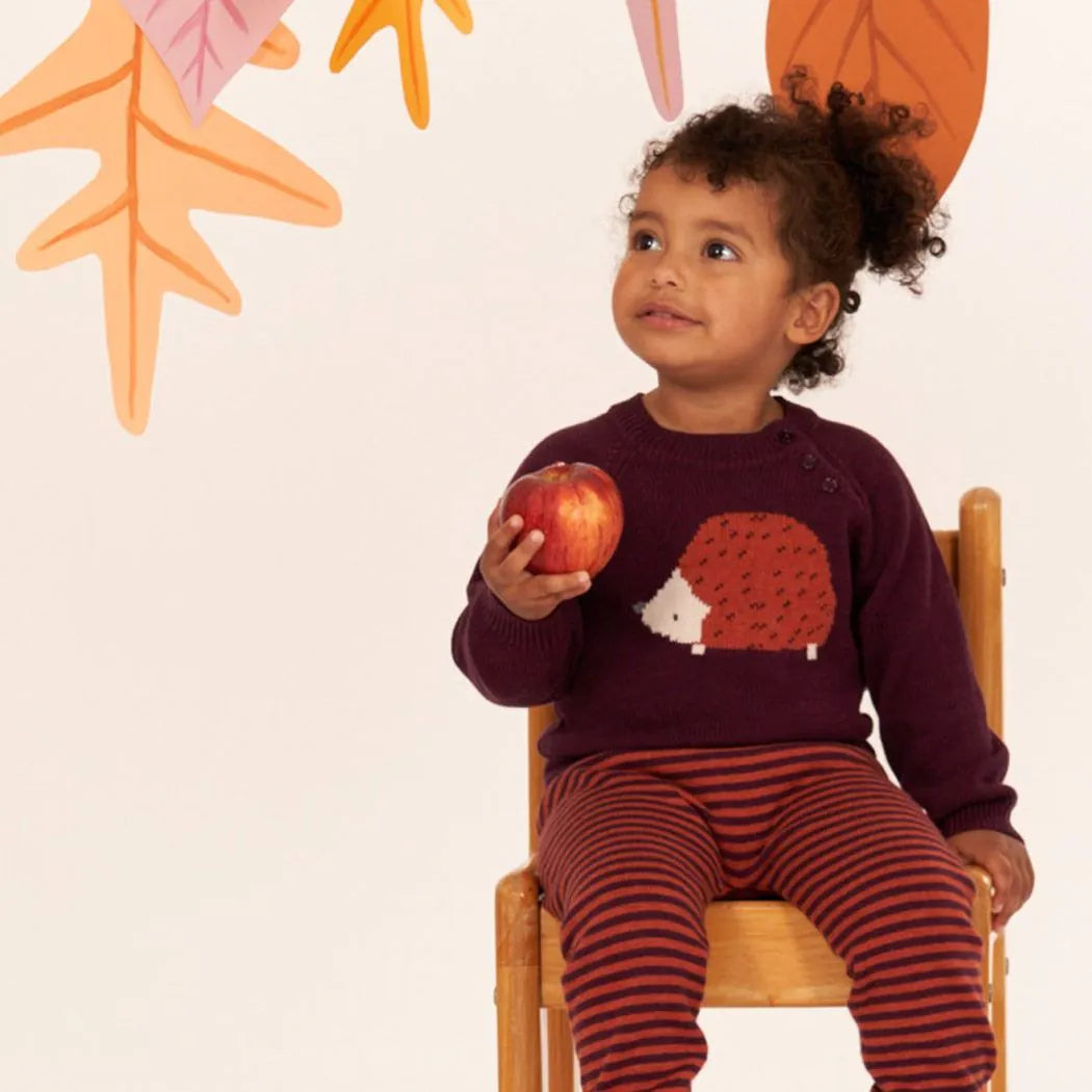Sense Organics Baby Strickpullover mit Igel auf Bordeauxrot, Modell NAVIN