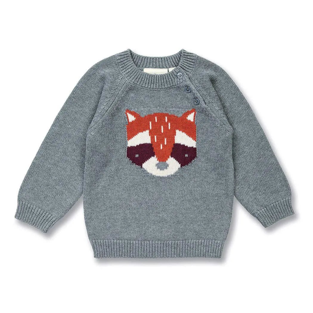 Sense Organics Baby Strickpullover mit Waschbär auf Anthrazit, Modell NAVIN