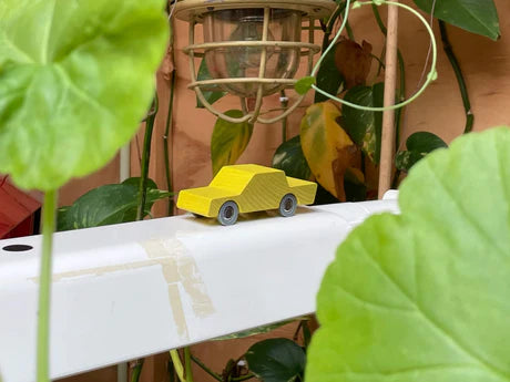 waytoplay-back-and-forth-car_yellow-2toyplants_460x