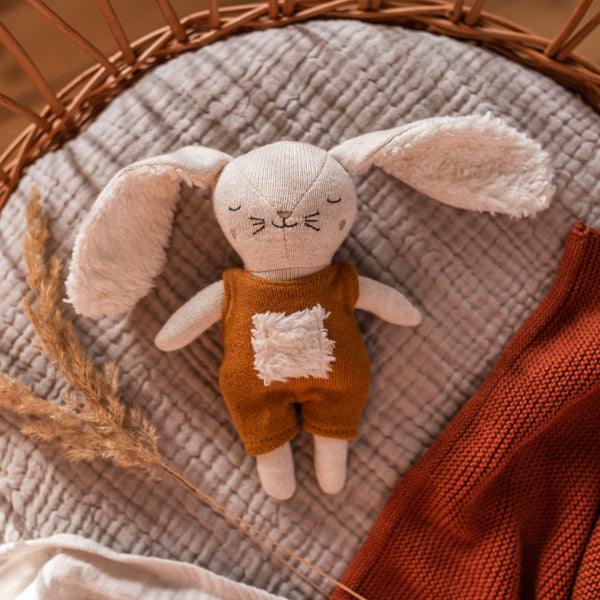 7166_Babyrassel_Hase_rost